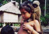 Le singe et l'enfant